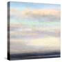 It’s a Dream-Suzanne Nicoll-Stretched Canvas