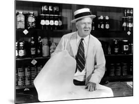 It's A Gift, W.C. Fields, 1934-null-Mounted Photo