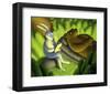 It's a Jungle Out There-Chris Miles-Framed Art Print