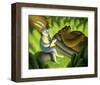 It's a Jungle Out There-Chris Miles-Framed Art Print