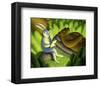 It's a Jungle Out There-Chris Miles-Framed Art Print