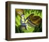 It's a Jungle Out There-Chris Miles-Framed Art Print