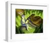 It's a Jungle Out There-Chris Miles-Framed Art Print