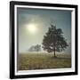 It's a New Day-Assaf Frank-Framed Art Print