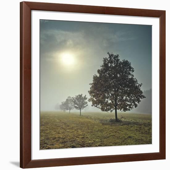 It's a New Day-Assaf Frank-Framed Art Print