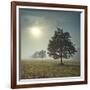 It's a New Day-Assaf Frank-Framed Art Print