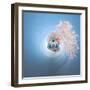 It's a Small World 1-Philippe Sainte-Laudy-Framed Photographic Print