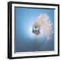 It's a Small World 1-Philippe Sainte-Laudy-Framed Photographic Print