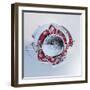 It's a Small World 29-Philippe Sainte-Laudy-Framed Photographic Print