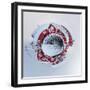 It's a Small World 29-Philippe Sainte-Laudy-Framed Photographic Print