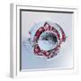 It's a Small World 29-Philippe Sainte-Laudy-Framed Photographic Print