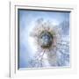 It's a Small World 33-Philippe Sainte-Laudy-Framed Photographic Print