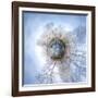 It's a Small World 33-Philippe Sainte-Laudy-Framed Photographic Print