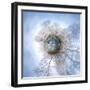 It's a Small World 33-Philippe Sainte-Laudy-Framed Premium Photographic Print