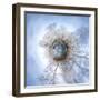 It's a Small World 33-Philippe Sainte-Laudy-Framed Photographic Print