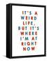 It's a Weird Life, But it's Where I'm at Right Now-null-Framed Stretched Canvas