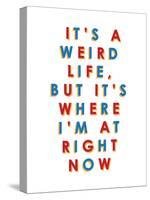 It's a Weird Life, But it's Where I'm at Right Now-null-Stretched Canvas