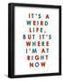 It's a Weird Life, But it's Where I'm at Right Now-null-Framed Poster