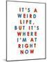 It's a Weird Life, But it's Where I'm at Right Now-null-Mounted Poster