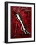 It's All About The Shoes-Sher Sester-Framed Giclee Print