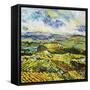 It's All New-Allan Friedlander-Framed Stretched Canvas