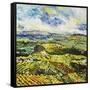 It's All New-Allan Friedlander-Framed Stretched Canvas