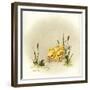 It's Always Something-Peggy Harris-Framed Giclee Print