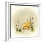 It's Always Something-Peggy Harris-Framed Giclee Print