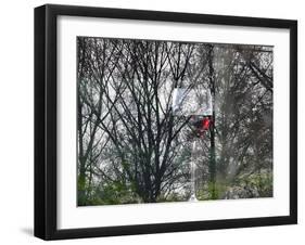 It's Five o'Clock Somewhere-Valda Bailey-Framed Photographic Print