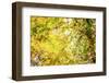 It's Good to be in Love-Philippe Sainte-Laudy-Framed Photographic Print