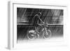 It's Raining Cats and Dogs-Christian Muller-Framed Photographic Print