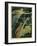 It's Raining-null-Framed Photographic Print