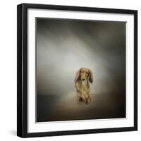 It's Showtime Baby Red Dachshund Dog-Jai Johnson-Framed Giclee Print