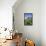 Italia, Italy, Apulia, Puglia, Bari district. Itria Valley. Alberobello. Typical trulli in the Mont-Francesco Iacobelli-Framed Stretched Canvas displayed on a wall