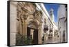 Italia, Italy, Apulia, Puglia, Bari district. Locorotondo.-Francesco Iacobelli-Framed Stretched Canvas