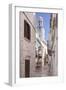 Italia, Italy, Apulia, Puglia, Bari district. Locorotondo.-Francesco Iacobelli-Framed Photographic Print