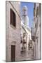 Italia, Italy, Apulia, Puglia, Bari district. Locorotondo.-Francesco Iacobelli-Mounted Photographic Print