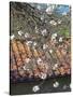 Italian Almond Blossom-Dorothy Berry-Lound-Stretched Canvas