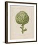 Italian Artichoke-Basilius Besler-Framed Giclee Print