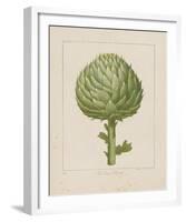 Italian Artichoke-Basilius Besler-Framed Giclee Print