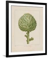 Italian Artichoke-Basilius Besler-Framed Giclee Print