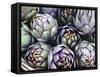 Italian Artichokes (With Spines) in a Basket-Mario Matassa-Framed Stretched Canvas