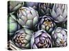 Italian Artichokes (With Spines) in a Basket-Mario Matassa-Stretched Canvas