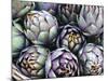 Italian Artichokes (With Spines) in a Basket-Mario Matassa-Mounted Photographic Print