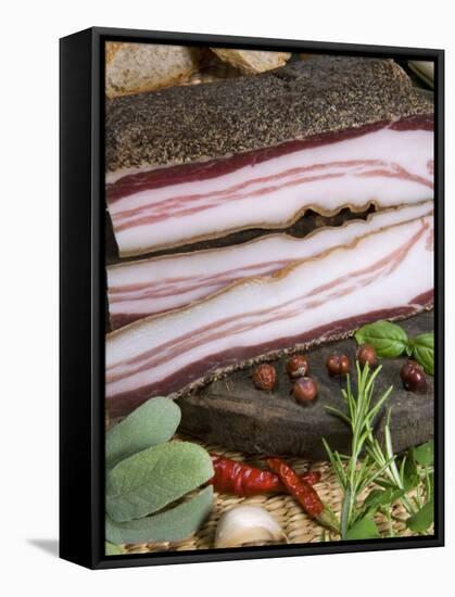 Italian Bacon, Italy, Europe-Tondini Nico-Framed Stretched Canvas