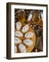 Italian Cakes, Ricciarelli of Siena, Tuscany, Italy, Europe-Tondini Nico-Framed Photographic Print