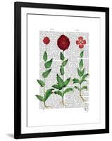 Italian Carnation 2-Fab Funky-Framed Art Print