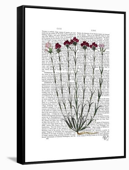 Italian Carnation 4-Fab Funky-Framed Stretched Canvas