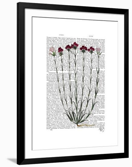 Italian Carnation 4-Fab Funky-Framed Art Print