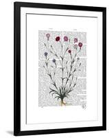 Italian Carnation 5-Fab Funky-Framed Art Print